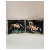 Insect Craft Kits Tarantula & Scorpion