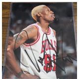 Dennis Rodman Signed 8x10 Photo Bulls Auto