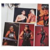 5 Hulk Hogan nWo WCW Panini Cards Inc Andre Giant