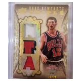 2008 UD Premier Kirk Hinrich Triple Patch /25