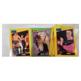 1991 Impel WCW Complete Factory Set