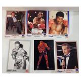 Unsearched Stack 1991 Kayo Boxing Cards
