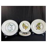 Alfred Meakin Birds of America Dinner Plates