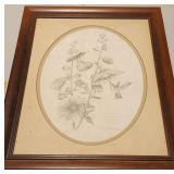 Don Whitlatch Hummingbird Print, 16'x20'