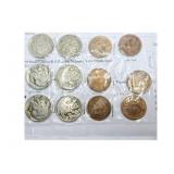 12 Coin Lot 6 Indian Head Cents 6 Buffalo Nickels