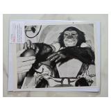 Certified 1961 NASA Photo Ham the Astrochimp