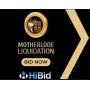 MOTHERLODE LIQUIDATION 17