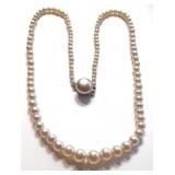 JAPAN FAUX PEARL NECKLACE