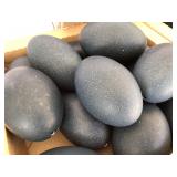 EMU EGGS, BLOWN & EASTER READY!