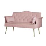 2 Seater Couch Pink Velvet Loveseat Sofa NIB