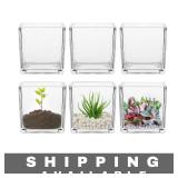 Glassware 6 Pack Clear Square Glass Vases NIB