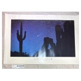 Vintage Sierra Club Halley's Comet Poster