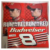 Laminated Dale Earnhardt Jr Posters Set of 3