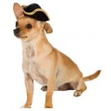 $5 Rubies Pet Shop Boutique Pet Halloween...