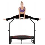 $110 Rebounder Trampoline for Adult,460 LBS Mini T