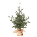 $64 3ft Pre-lit Artificial Christmas Tree Potted B