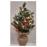$20 18' Lighted Christmas Decor
