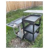 2 plastic rolling carts
