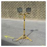 Shop Light Needs Bulbs