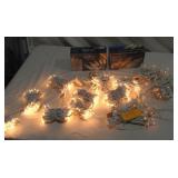 White & Clear Holiday Lights