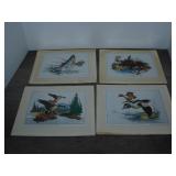 Lot of Vintage Wildlife Prints