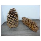 Lot of 2 Pinecones
