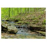 21.76± Acres with Creek & Waterfalls