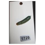 Pickle Shaped Plastic Brooch