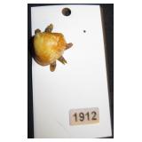 Turtle Shell Figural Brooch