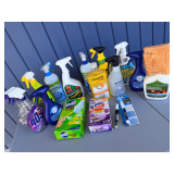 Variety of Household Cleaning Products