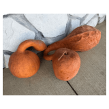 Dried Gourd Assortment