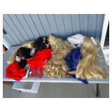 Costume Wig Assortment With Styling Accessories