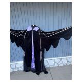 Disney Catalog Maleficent Villain Costume Cape and Headpiece