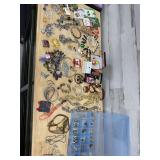 Assorted Fashion Jewelry Lot with Organizer