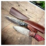 Pair of Fixed Blade Knives (Red)