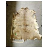 White Tail Deer Hide