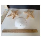 Starfish 2 & Sand dollar
