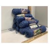 Caron Simply Soft Country Blue 10 Skeins