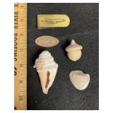 Indianapolis Zoo Smashed Penny Money Clip Shells