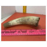 Animal Horn