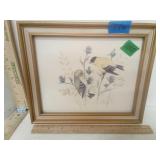 American GOLDFINCH Couple & Floral Framed Print