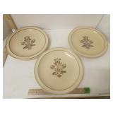 Pfaltzgraff Village Stoneware Dinner Plates 3