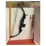 Bear Compound Bow & Arrows