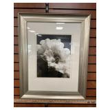 Botanical Framed Print