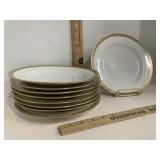 Theo Haviland Sch 892 Luncheon Plates 9