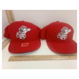 Cincinnati Reds Ball Caps 2