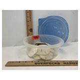 Sand Dollars In Glad Container