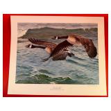 Signed & Numbered 'Canadas over the Cumberland'