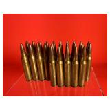 25 Rounds of 5.56 Ammo