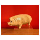 Cast Iron Piggy Bank